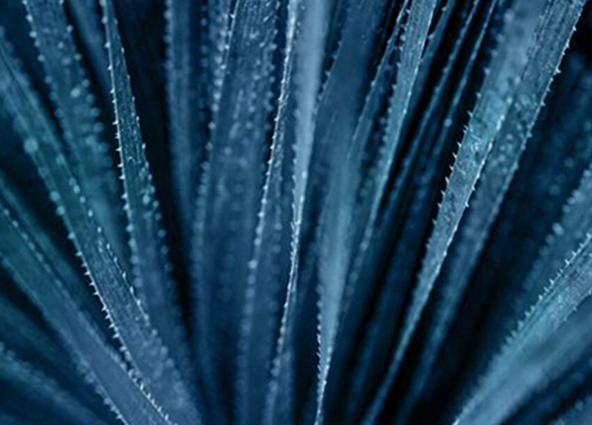 Photo of Insights from Recent SEC Comments on Segment Reporting