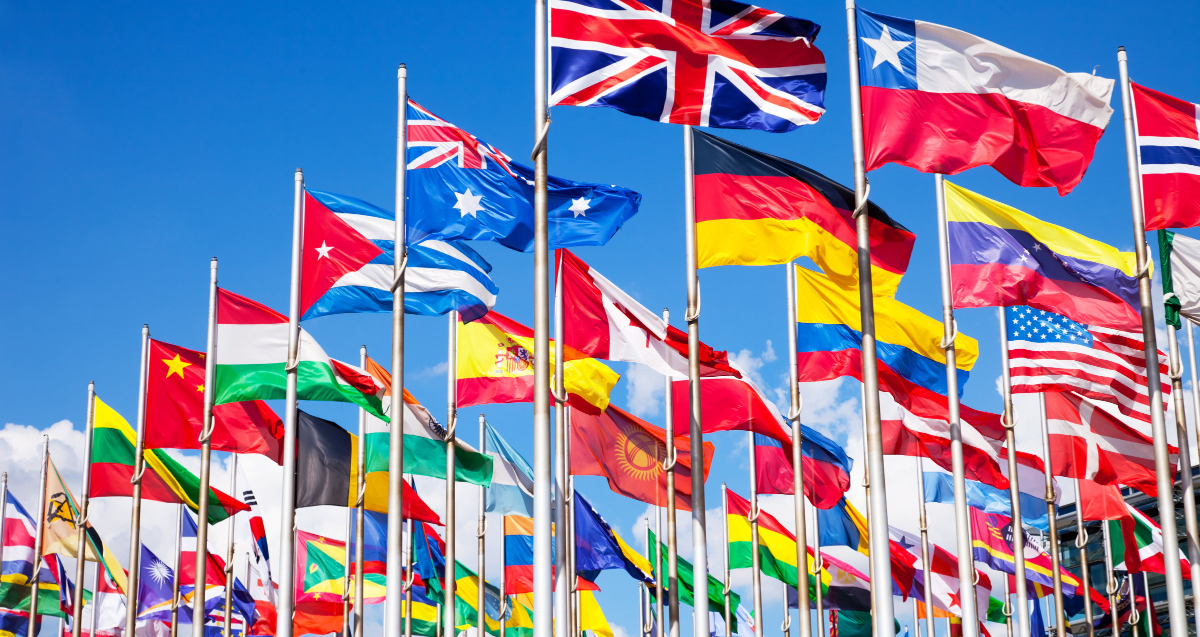 Photo of International Defense Contracting