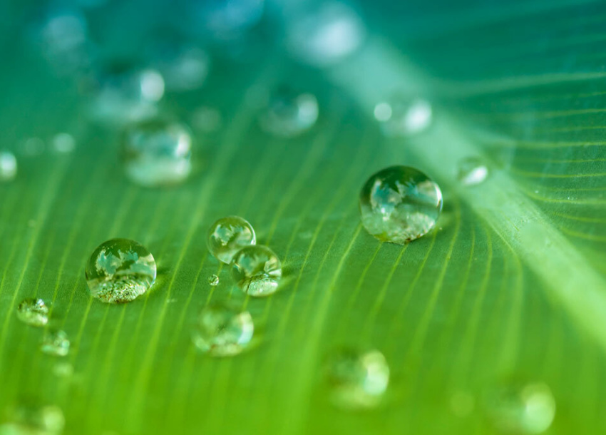 Photo of EPA Drafts New Guidance on <em>County of Maui’s</em> “Functional Equivalent” Test